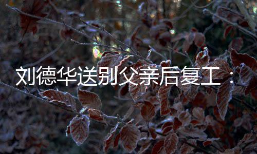 别父疲惫蓄着胡子 华送尽显刘德复工亲后憔悴