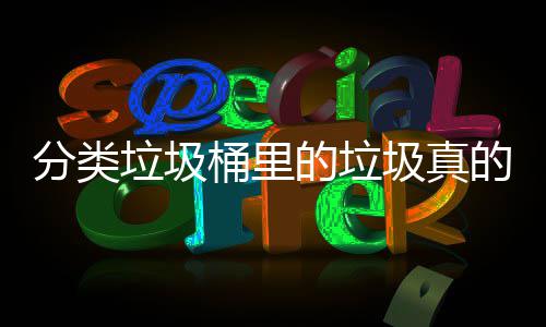 的垃的会圾真垃圾吗桶里处置分类分类
