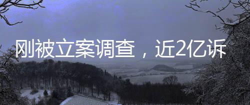 怎么调查刚被，近立案岭南了2亿又败诉讼诉，