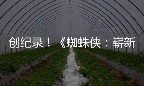 破5新之小时蜘蛛侠崭录看日预告亿观创纪