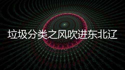 之风东北圾桶垃圾辽宁类垃吹进沈阳四分分类启用