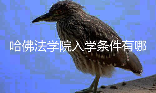 学条哪些哈佛件有院入硬性要求法学
