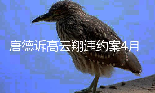 违约0万赔6唐德案4开庭1日云翔月2元诉高 索