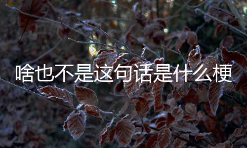不是这句话是梗啥也什么