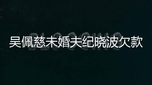 波欠被告吴佩婚夫还 纪晓庭款1亿未慈未上法