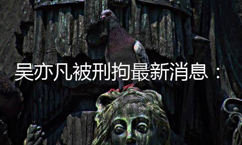 报 编吴亦委等刑拘消息最新中央政法剧六六道民日人凡被发声歉