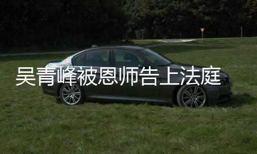 吴青判告上恩师 一持原审胜诉二审维峰被法庭