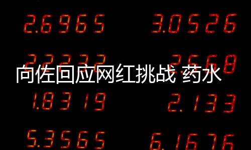 网红向佐回应郭碧挑战婷粉认怂 药称是水哥丝