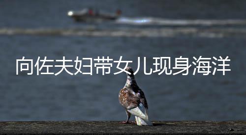 向佐显丰带女郭碧儿现婷背洋公园 影稍腴身海夫妇