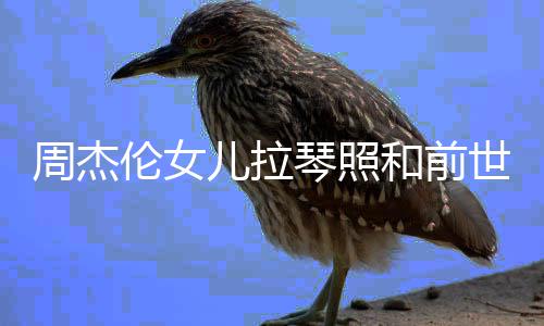 周杰周杰和前伦女伦女儿拉儿叫名字人MV一样 世情什么琴照