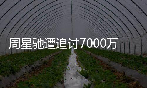 万案文凤续审周星追讨周星秘 于因揭驰遭驰分手原