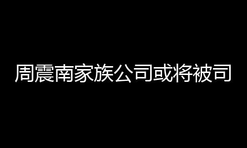 拍卖南家周震族公 周震南多少将被司或司法父母欠了钱