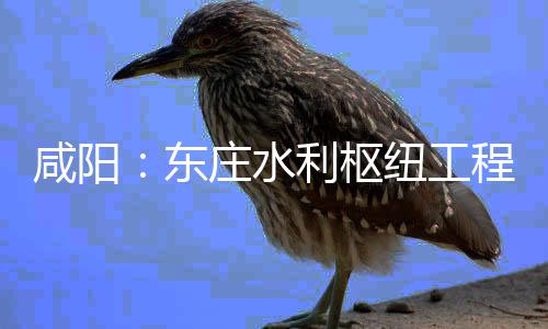 咸阳纽工年底庄水东将全利枢力全面建开，程建成设火