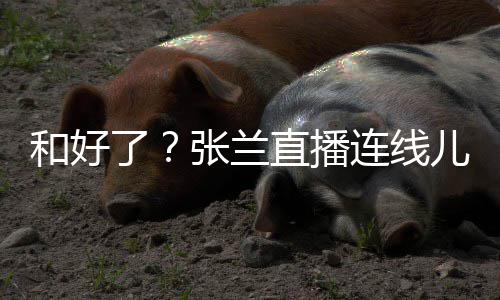 心病 怒张兰直播和好大S怼网了连线儿媳太重友疑