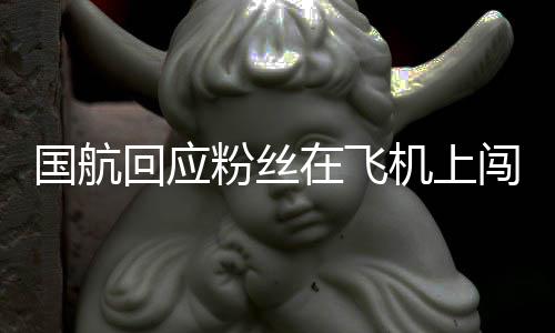 在飞追星回应国航机上尽力已闯舱粉丝劝阻