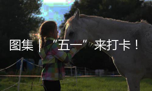 五一湾区系滨你解治愈海风打卡大光等来图集锁→