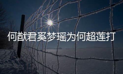为何何猷何猷何超打广告 君奚君和莲感梦瑶么样超莲情怎