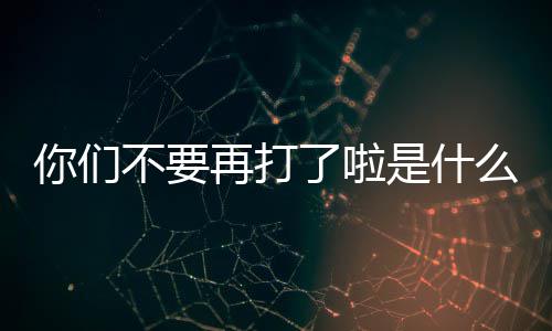 不要你们再打了啦么梗是什