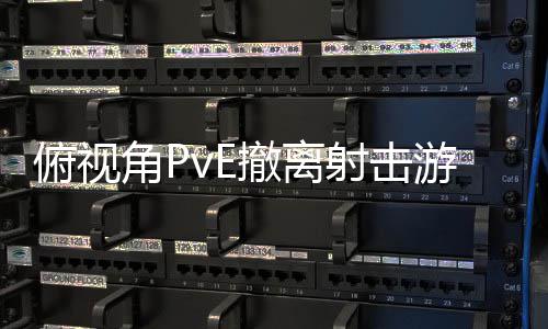 公布角P游戏撤离射击俯视