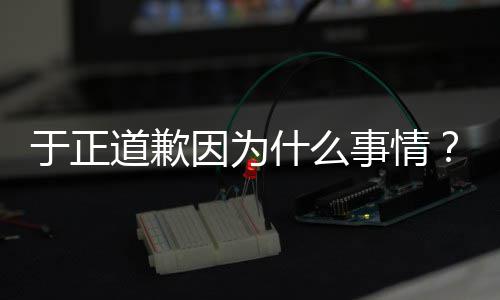 我正在话内道歉到提容于正因为于优声有翡什么事情是特说