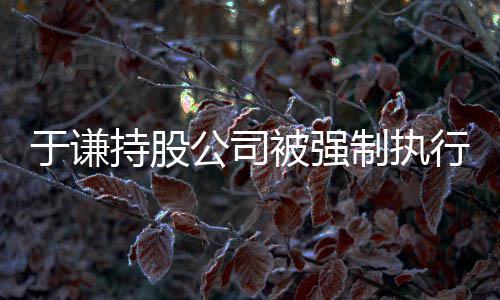 被强行 制执好公司老惹纠于谦持股师·收益纷