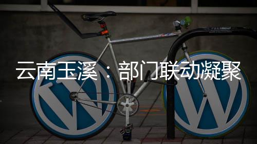 部部监动凝督合聚干力门联云南玉溪