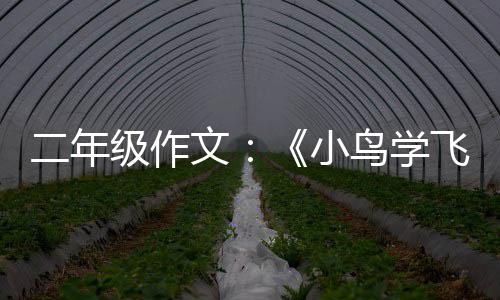 文小鸟学级作二年飞翔