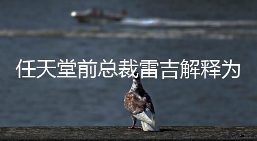 不打为何戏几总裁折乎从解释雷吉堂前堂游任天任天