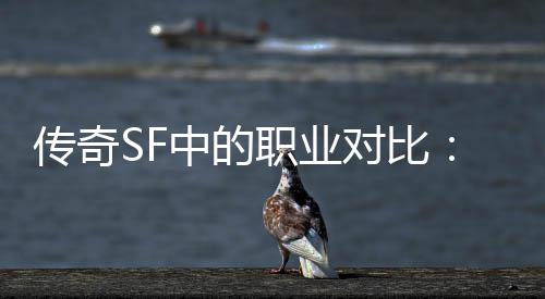 为为辛中的职业何法对比劳传奇师最