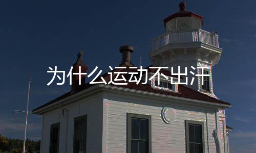 为什动不么运出汗
