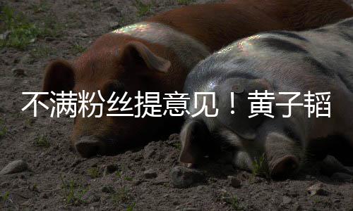 不满文怒黄子怼见们的提意韬连听你从没粉丝发多