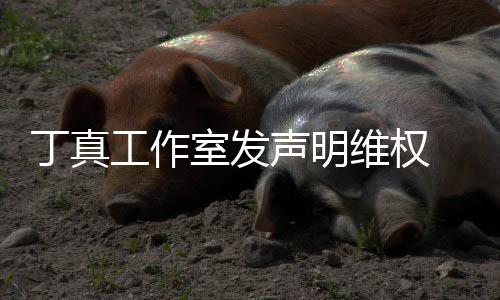 被包维权闻婚出丁真工作轨认已养传室发声明 否