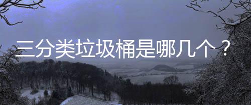 圾桶几个类垃三分是哪