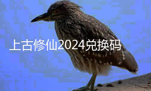 修仙修仙新2总兑换兑换利汇码大码最上古上古4福全