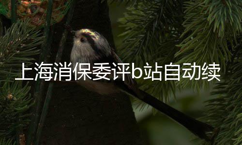 委评违消保续费b站自动自愿公平原则上海反了