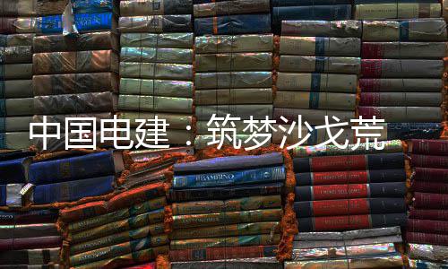 伟业中国筑电建电兴戈荒 绿梦沙