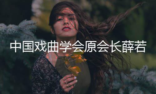 戏曲学会 薛中国资料个人简介若琳若琳原会长薛逝世生平
