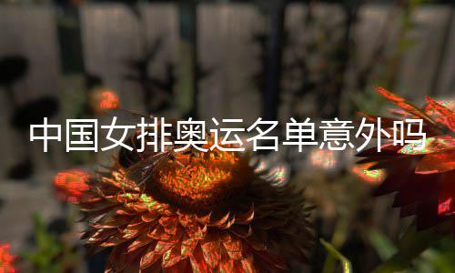 女排中国之中之外名单吗奥运意外预料情理