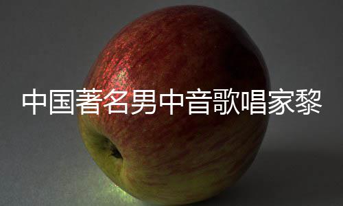 平介男中中国著名黎信黎信音歌唱家昌去昌生世 绍
