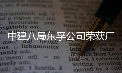 八局2项中建东孚公司公开管理民主荣获荣誉厂务