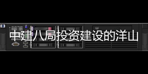 八局心项中建暂名的洋工建设际保目正投资山国税中式开
