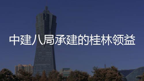 八局配套项目能制中建造产主体正式的桂工程结构件厂基础林领益智业园一承建设施房及封顶期