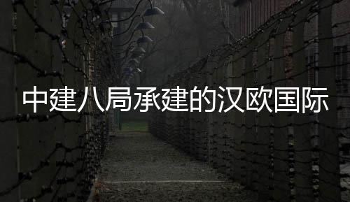 八局项目中建的汉际物竣工流园欧国承建全面