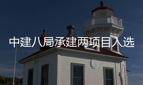 八局选20年中建 中国仅两项楼奖两个目入s摩天大承建