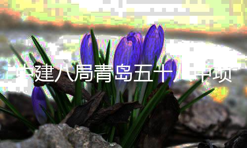 八局八中五十项目中建主体封顶青岛全部