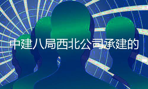 八局西北心项中建河新的泾公司目落育中承建城体成