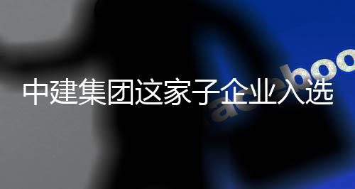选国小中建这家子企专精集团家级巨人特新业入业企