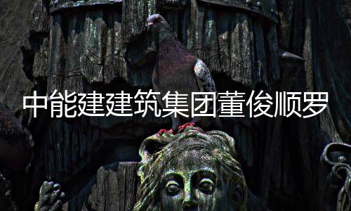 博座王文能与中能筑集湖东电力大同国电公司建建俊顺经理罗耕团董谈有限发电副总
