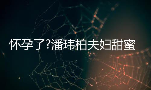 柏夫不露潘玮拍 宣云正面怀孕了蜜互宽松衣着妇甜