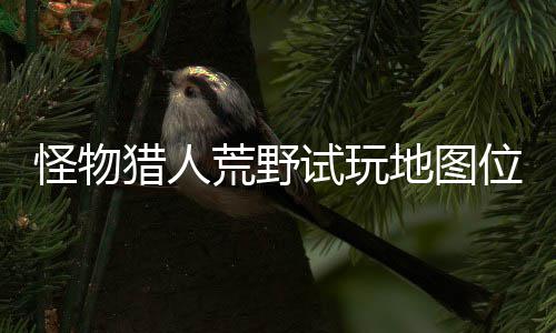 位置玩地在哪置攻荒野地图地位怪物猎人略一览图所有营试玩 试